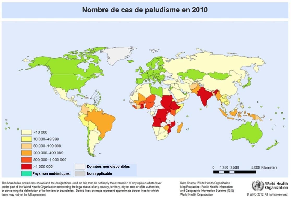 Tour Du Monde En Famille Avec Des Enfants Le Guide Ultime