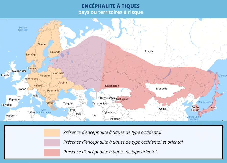 Encéphalite à tiques, carte de circulation du virus et des tiques vectrices