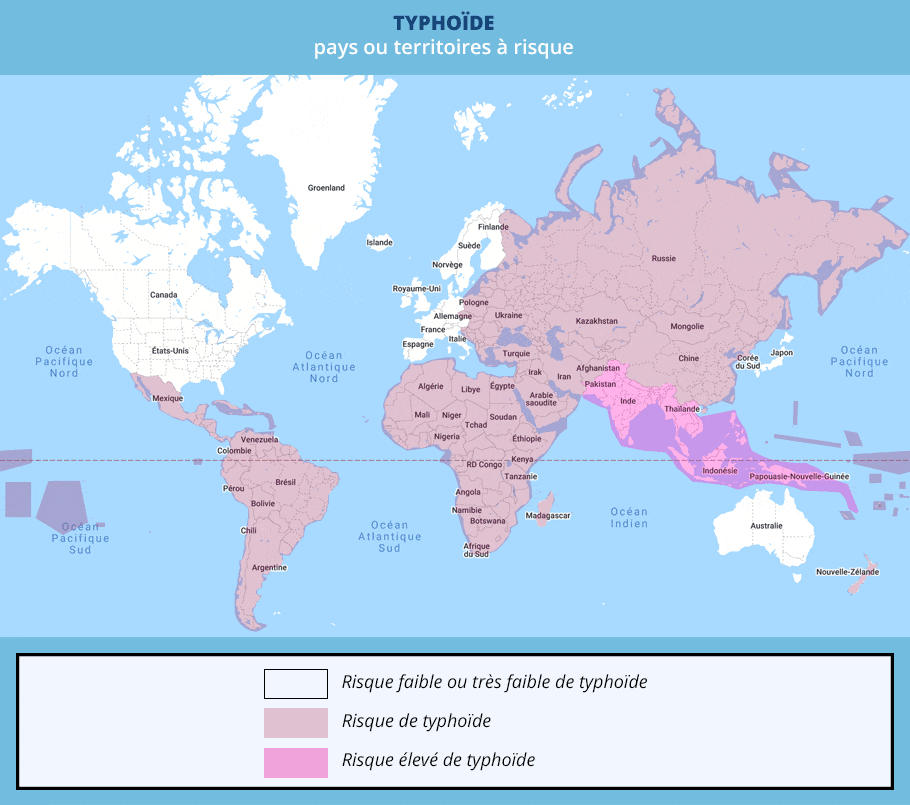 Typhoïde : carte des pays et territoires à risque d'après Metis